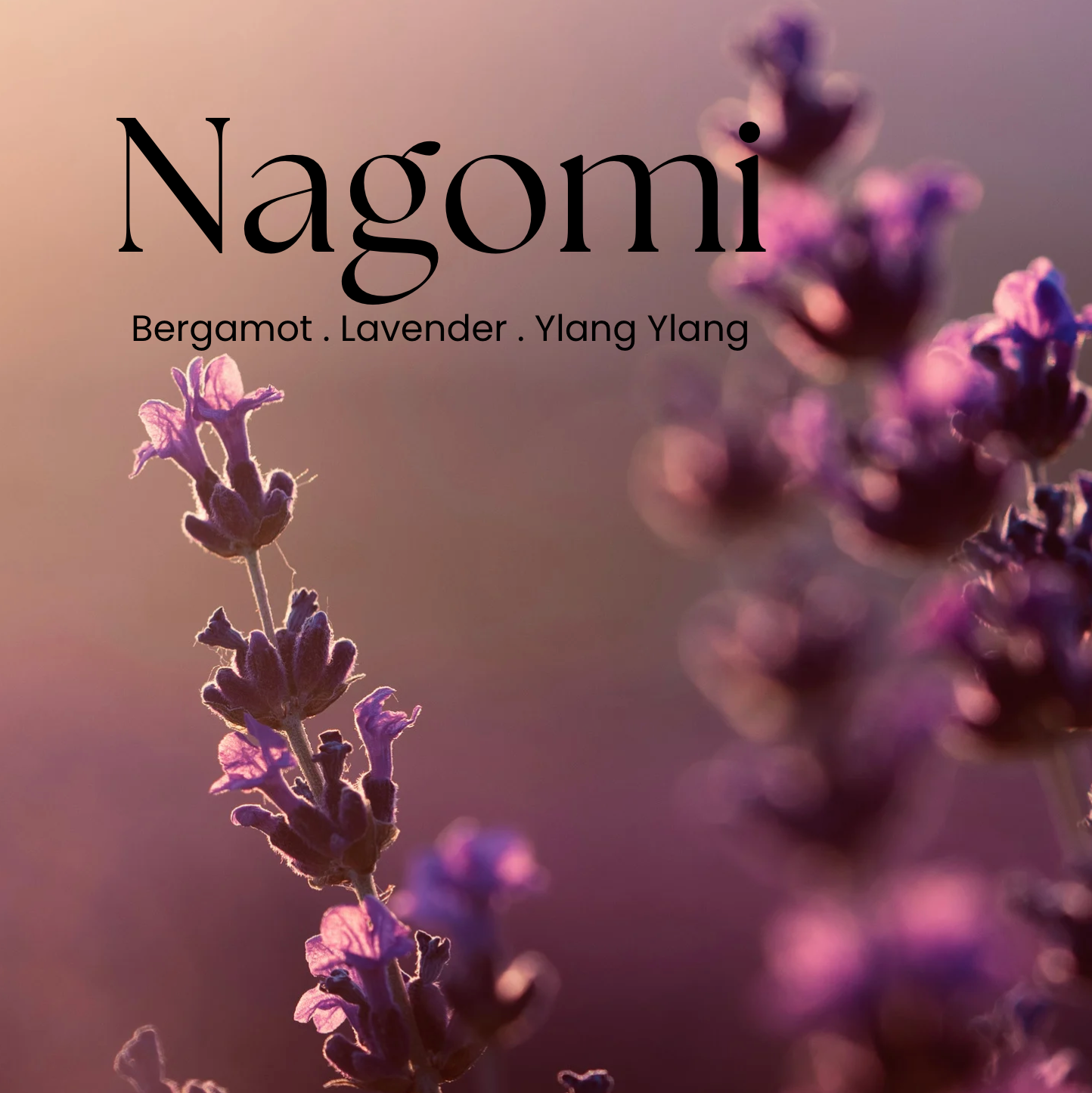 Deep dive - Nagomi