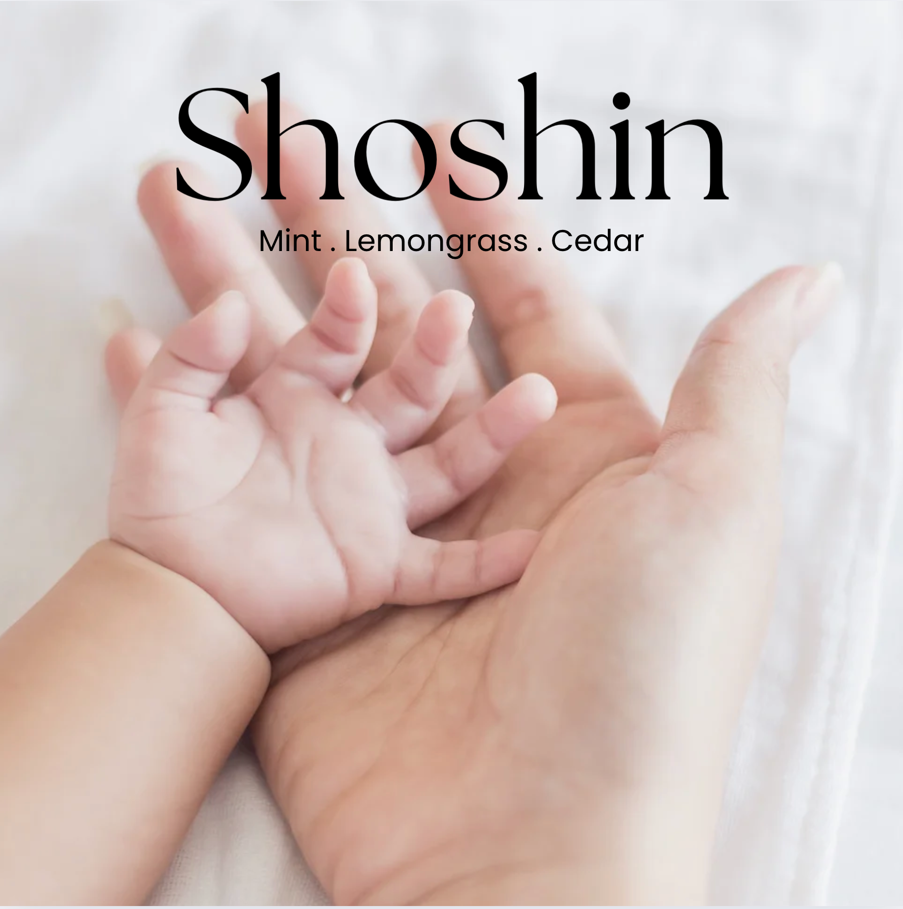 Deep Dive Shoshin