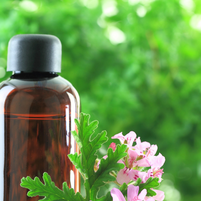 Brown bottle of liquid with a black cap and green leaves and pink geranium flowers in the foreground, blurred green background