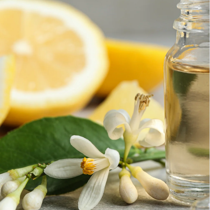 Glass bottle of essential oil with white and yellow neroli fruit and flowers on a gray background